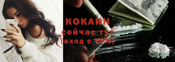 молекула духа Арсеньев