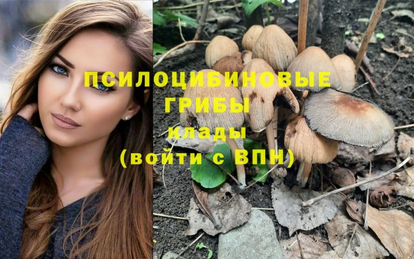 бошки Баксан