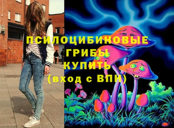 соль ск Балахна