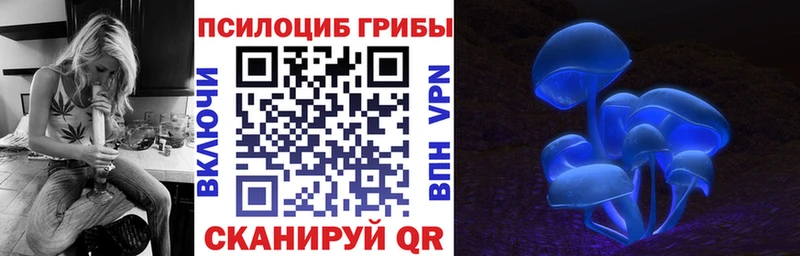 Псилоцибиновые грибы MAGIC MUSHROOMS  МЕГА   Белогорск 