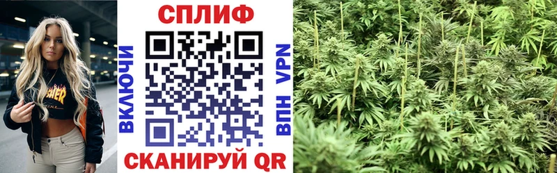 дарк нет наркотические препараты Белогорск Бошки Шишки индика где найти наркотики
